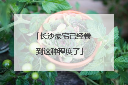 长沙豪宅已经卷到这种程度了