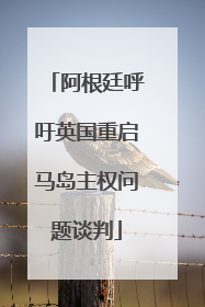阿根廷呼吁英国重启马岛主权问题谈判