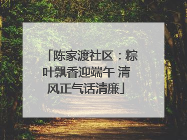 陈家渡社区：粽叶飘香迎端午 清风正气话清廉