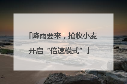 降雨要来，抢收小麦开启“倍速模式”