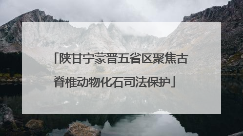陕甘宁蒙晋五省区聚焦古脊椎动物化石司法保护