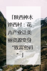 陕西神木铧西村：花卉产业让美丽资源变身“致富密码”