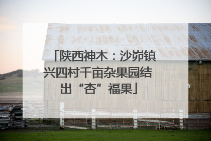 陕西神木：沙峁镇兴四村千亩杂果园结出“杏”福果
