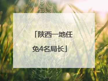 陕西一地任免4名局长