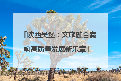 陕西吴堡：文旅融合奏响高质量发展新乐章
