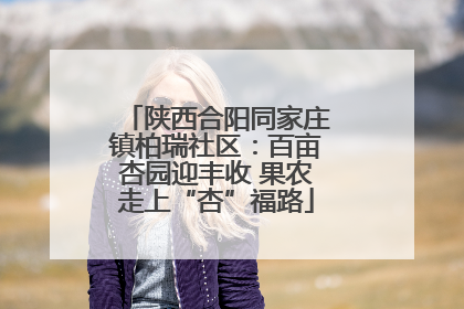 陕西合阳同家庄镇柏瑞社区：百亩杏园迎丰收 果农走上“杏”福路