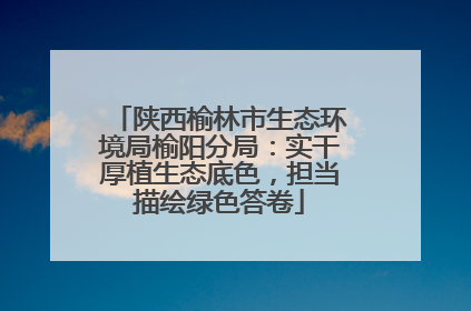 陕西榆林市生态环境局榆阳分局：实干厚植生态底色，担当描绘绿色答卷