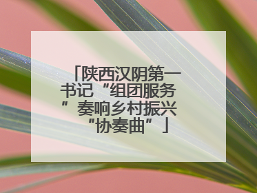陕西汉阴第一书记“组团服务”奏响乡村振兴“协奏曲”
