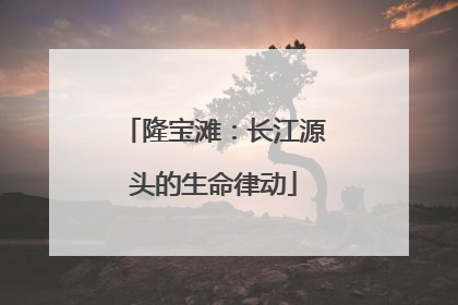 隆宝滩：长江源头的生命律动