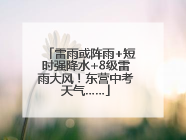 雷雨或阵雨+短时强降水+8级雷雨大风！东营中考天气……