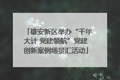 雄安新区举办“千年大计 党建领航”党建创新案例场景汇活动