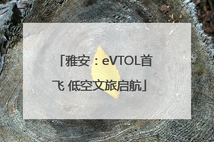 雅安：eVTOL首飞 低空文旅启航
