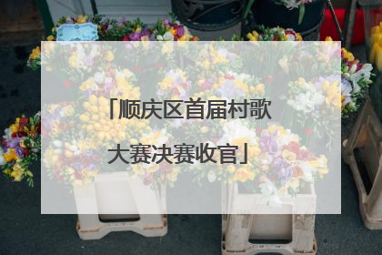 顺庆区首届村歌大赛决赛收官