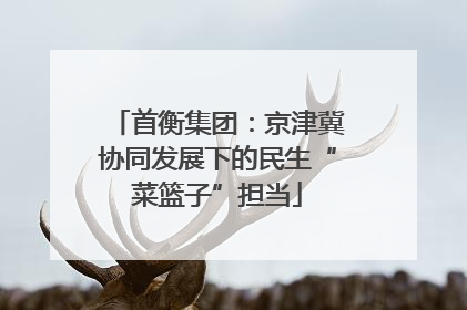 首衡集团：京津冀协同发展下的民生“菜篮子”担当