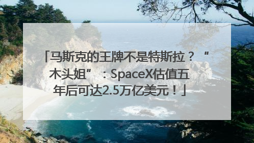 马斯克的王牌不是特斯拉？“木头姐”：SpaceX估值五年后可达2.5万亿美元！