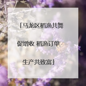 马龙区稻渔共舞促增收 稻渔订单生产共致富