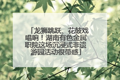 龙狮跳跃、花鼓戏唱响！湖南有色金属职院这场沉浸式非遗游园活动很带感