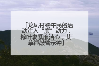 龙凤村端午民俗活动注入“廉”动力：粽叶裹紧廉洁心，艾草锤敲警示钟