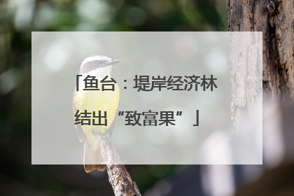 鱼台：堤岸经济林结出“致富果”