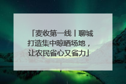 麦收第一线丨聊城打造集中晾晒场地，让农民省心又省力