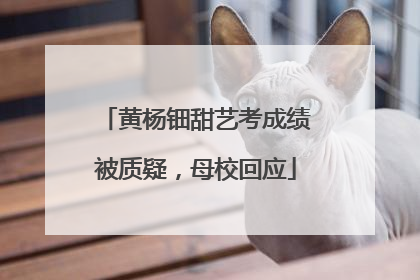 黄杨钿甜艺考成绩被质疑，母校回应