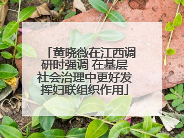 黄晓薇在江西调研时强调 在基层社会治理中更好发挥妇联组织作用
