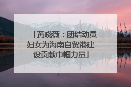 黄晓薇：团结动员妇女为海南自贸港建设贡献巾帼力量