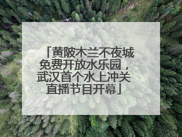 黄陂木兰不夜城免费开放水乐园，武汉首个水上冲关直播节目开幕