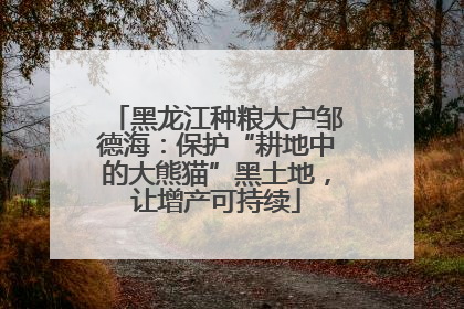 黑龙江种粮大户邹德海：保护“耕地中的大熊猫”黑土地，让增产可持续