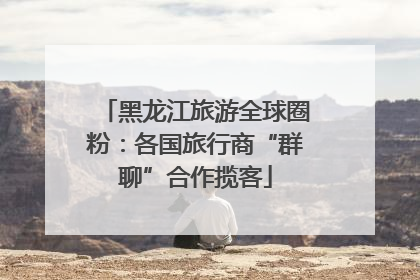 黑龙江旅游全球圈粉：各国旅行商“群聊”合作揽客