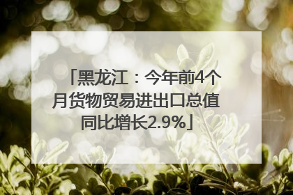 黑龙江：今年前4个月货物贸易进出口总值同比增长2.9%
