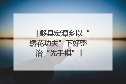黟县宏潭乡以“绣花功夫”下好整治“先手棋”