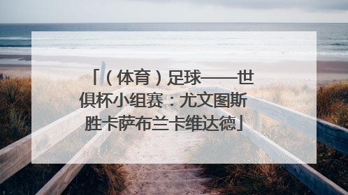 （体育）足球——世俱杯小组赛：尤文图斯胜卡萨布兰卡维达德