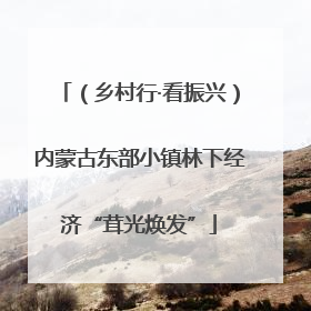 （乡村行·看振兴）内蒙古东部小镇林下经济“茸光焕发”