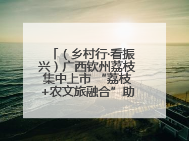 （乡村行·看振兴）广西钦州荔枝集中上市 “荔枝+农文旅融合”助农增收