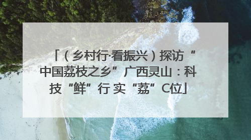 （乡村行·看振兴）探访“中国荔枝之乡”广西灵山：科技“鲜”行 实“荔”C位