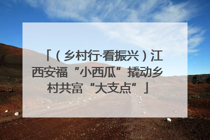 （乡村行·看振兴）江西安福“小西瓜”撬动乡村共富“大支点”