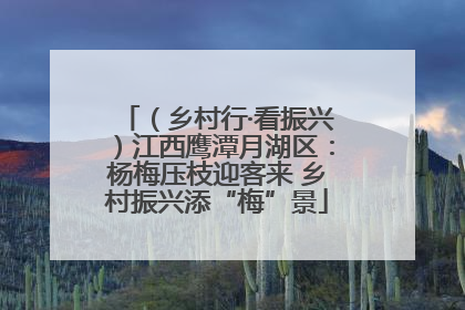 （乡村行·看振兴）江西鹰潭月湖区：杨梅压枝迎客来 乡村振兴添“梅”景