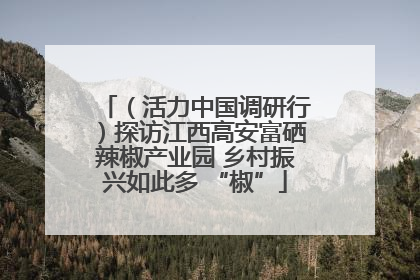 （活力中国调研行）探访江西高安富硒辣椒产业园 乡村振兴如此多 “椒”