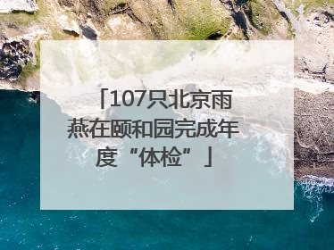 107只北京雨燕在颐和园完成年度“体检”