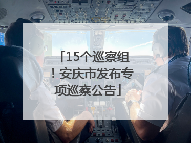 15个巡察组！安庆市发布专项巡察公告