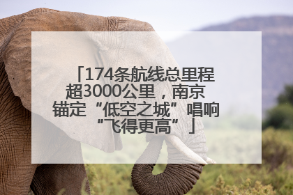174条航线总里程超3000公里，南京锚定“低空之城”唱响“飞得更高”
