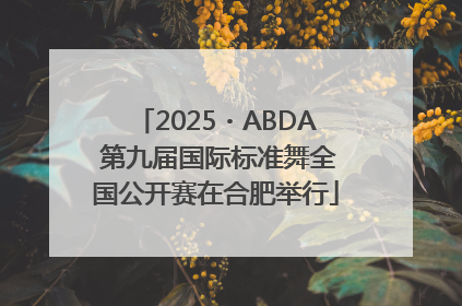 2025・ABDA 第九届国际标准舞全国公开赛在合肥举行
