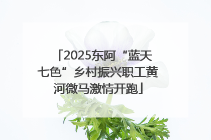 2025东阿“蓝天七色”乡村振兴职工黄河微马激情开跑