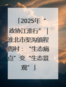2025年“政协江淮行”｜淮北市渠沟镇程阁村：“生态痛点”变“生态景观”