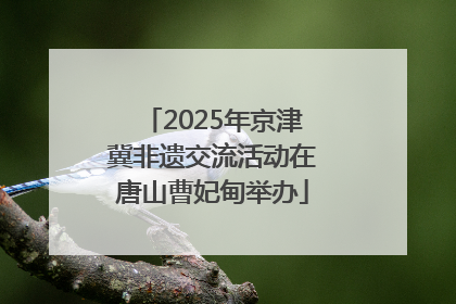 2025年京津冀非遗交流活动在唐山曹妃甸举办