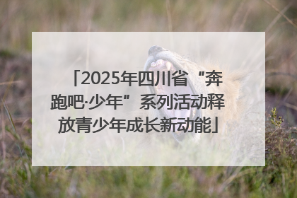 2025年四川省“奔跑吧·少年”系列活动释放青少年成长新动能