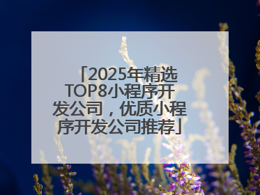 2025年精选TOP8小程序开发公司，优质小程序开发公司推荐