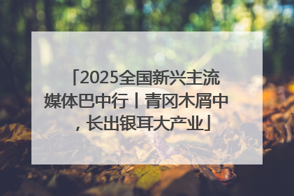 2025全国新兴主流媒体巴中行丨青冈木屑中，长出银耳大产业