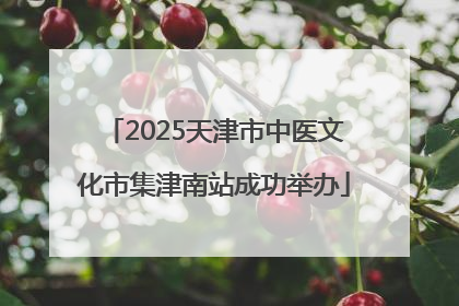 2025天津市中医文化市集津南站成功举办
